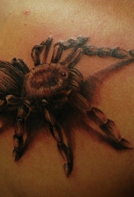 背部美丽逼真的蜘蛛纹身图案