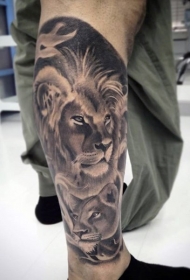 小腿美丽的黑灰风格狮子家庭纹身图案