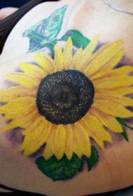 肩部美丽的向日葵彩色纹身图案