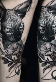 手臂栩栩如生的黑色无毛猫与花朵纹身图案