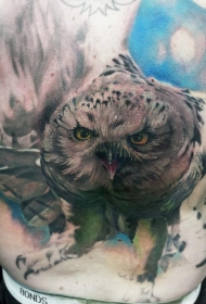 背部写实风格彩色飞行猫头鹰纹身图案