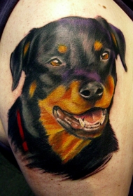 手臂甜蜜多彩的罗威纳犬头像纹身图案
