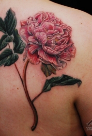 背部经典的彩绘绽放玫瑰花纹身图案