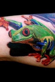 漂亮的七彩逼真青蛙手臂纹身图案
