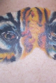 背部写实的老虎眼睛彩绘纹身图案
