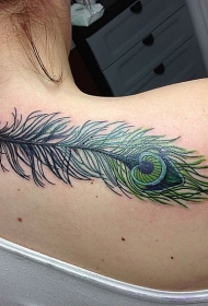 背部美丽的绿色孔雀羽毛纹身图案