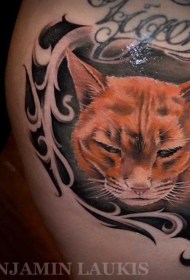美丽的彩色伤心猫头像纹身图案