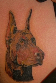 美丽的棕色杜宾犬头纹身图案