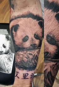 手臂栩栩如生非常漂亮可爱的熊猫宝宝纹身图案