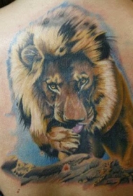 背部插画风格彩色写实的狮子纹身图案