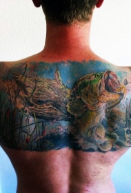 背部自然的五彩绚烂鱼纹身图案