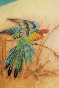 背部多彩的可爱小鸟纹身图案