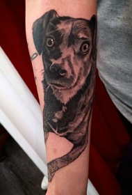 有趣的大眼睛小狗手臂纹身图案