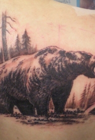 背部大熊在森林里纹身图案