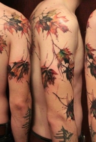 手臂和背部超级写实的枫叶彩色纹身图案