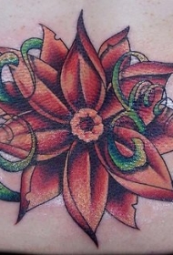 腰部美丽的红色花朵叶子纹身图案