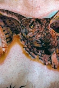 胸部霸气的写实飞行猫头鹰纹身图案