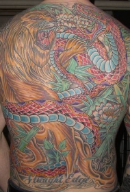 满背彩色的狮子战斗蛇纹身图案