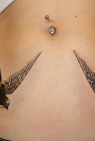 腹部两只黑灰燕子纹身图案