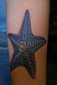 精彩的彩色海星手臂纹身图案
