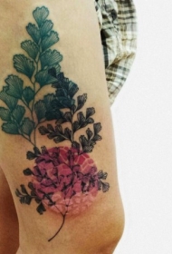 大腿彩色美丽的植物纹身图案