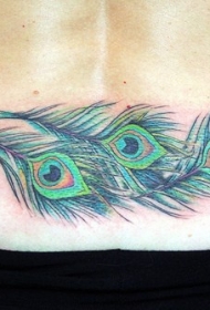 腰部漂亮的孔雀羽毛彩色纹身图案
