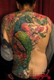 背部华丽的惊人彩色大孔雀花朵纹身图案