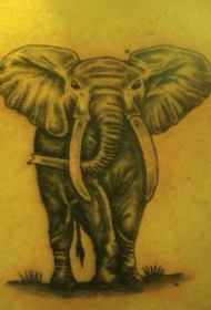 简单的大象背部纹身图案