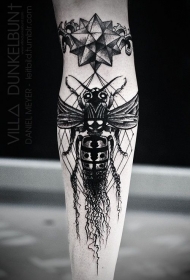 手臂精致的巨大黑白昆虫和星星纹身图案