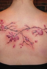 背部粉红色的花朵树枝纹身图案