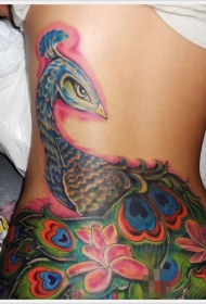 背部可爱的孔雀花朵彩色纹身图案