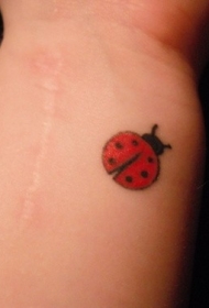 手臂上简单的红色瓢虫纹身图案