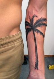手臂精美的黑色写实棕榈树纹身图案