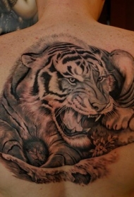背部来势汹汹的老虎纹身图案