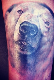 写实逼真的彩色北极熊头像纹身图案