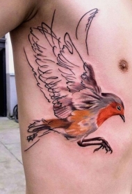 侧肋小鸟与透明翅膀纹身图案