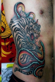 侧肋亚洲孟加拉白虎与蛇纹身图案