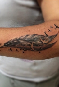 手臂有趣的灰色羽毛小鸟纹身图案
