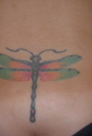 腰部绿色和红色的蜻蜓纹身图案