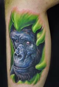小腿美丽的大猩猩写实纹身图案