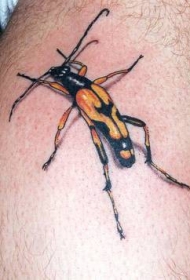 黑色和黄色的昆虫逼真纹身图案