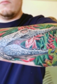 神奇的逼真彩色小鳄鱼与青蛙手臂纹身图案