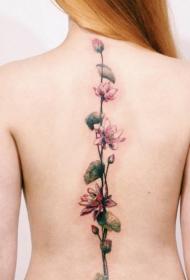 非常漂亮的粉红色花朵背部纹身图案
