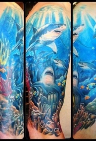 大臂色彩斑斓的海底逼真鲨鱼纹身图案