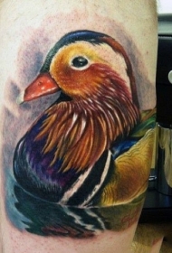 大腿美丽写实风格的彩色鸭子纹身图案