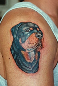 大臂漂亮的彩色罗威纳犬纹身图案