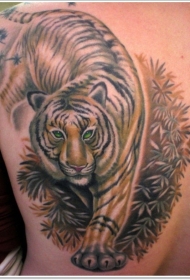 背部美丽的手绘彩色大老虎纹身图案