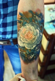 小臂写实彩色美丽的白玫瑰纹身图案