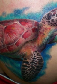 美丽的写实水彩乌龟纹身图案