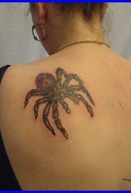 女生后背大蜘蛛彩色纹身图案